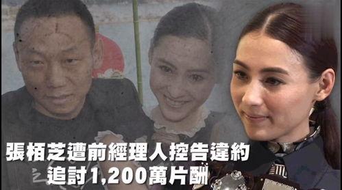 娱乐看点吃瓜,揭秘明星幕后故事