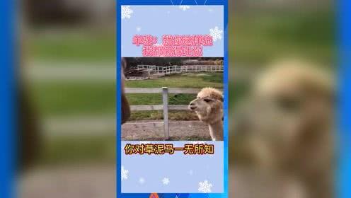 吃瓜娱乐频道官网下载